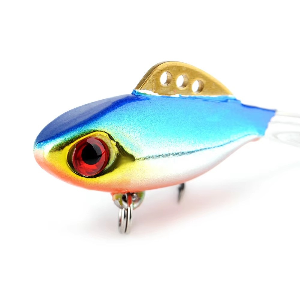 view